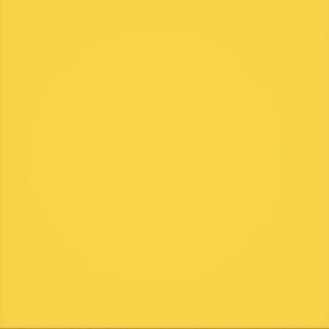 Faïence Jaune
20x20 cm - ép. 6,5 mm