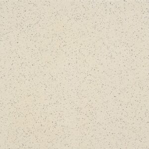 Grès cérame porphyré ivoire+poivre
29,7x29,7 cm - ép. 8 mm
