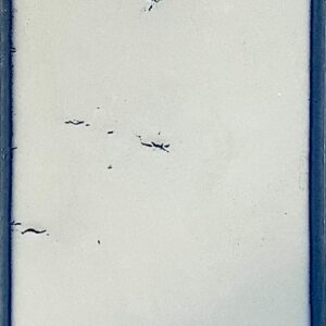 Faïence blanche à bords bleus
10x20 cm - ép. 7 mm