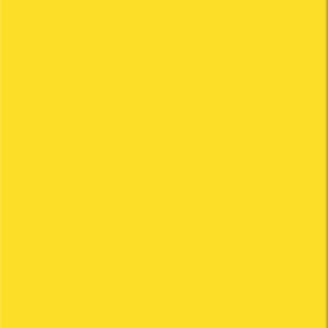 Grès cérame émaillé Jaune
10x30 cm - ép. 7 mm