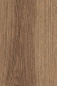 1259188733890371474525156431222722702916312993545902997791