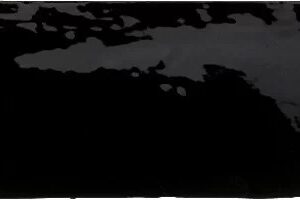 259442375840099931282860239075680927408559753724055065764