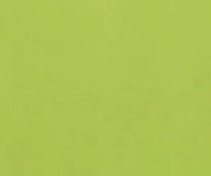 421087418388813374258896908933110904916147684316672114869