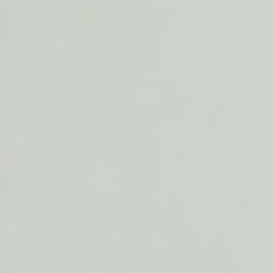 5685860479702272228098528103911996975845787346622656795547